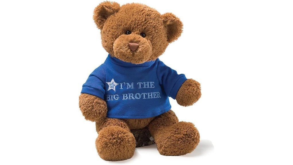 big brother teddy bear