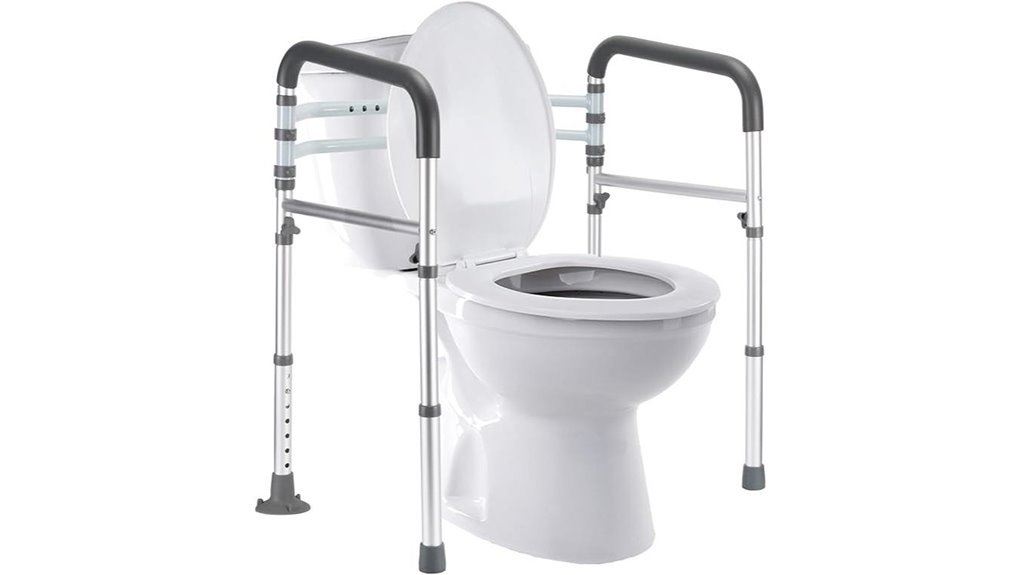 elderly disabled toilet rails
