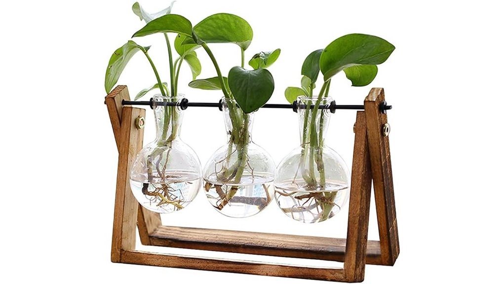 glass bulb plant terrarium